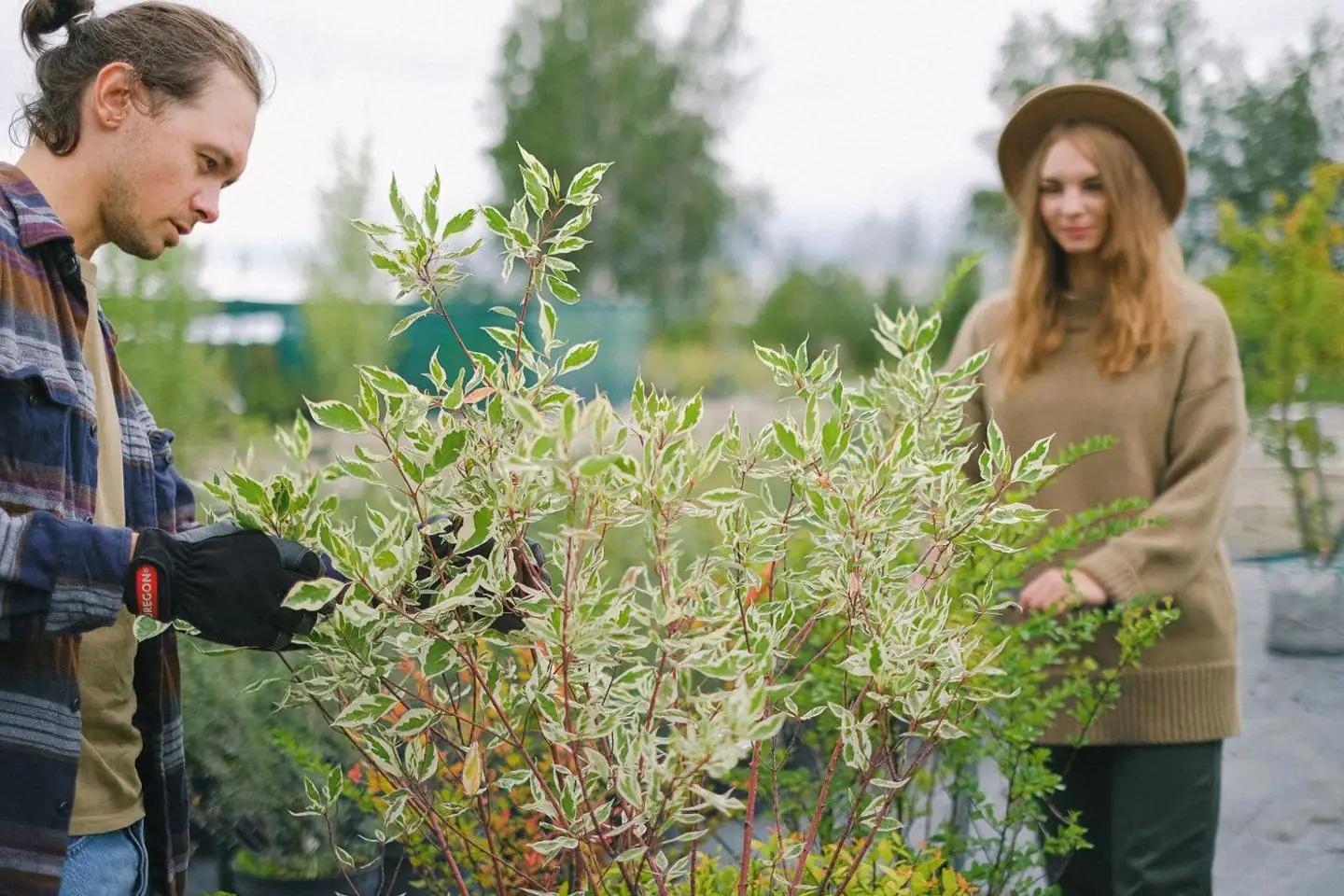 Twee hoveniers bekijken en verzorgen samen de beplanting in de tuin