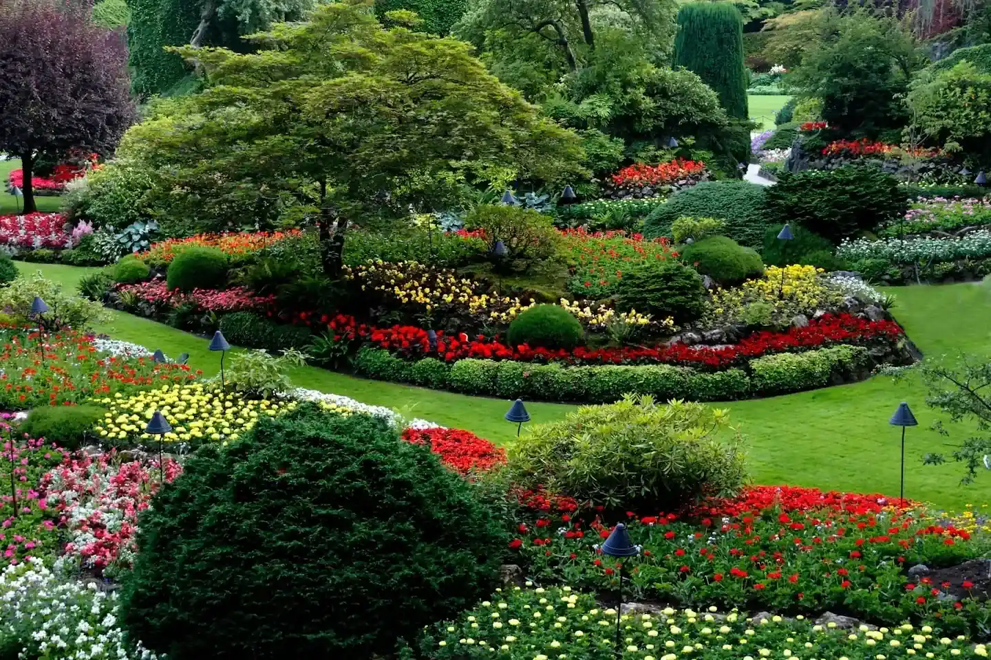 Nieuw aangelegde tuin met jonge beplanting en ruime borders