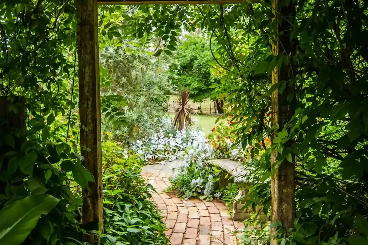 Hetzelfde tuinpad na de renovatie, opnieuw gelegd met nieuwe beplanting